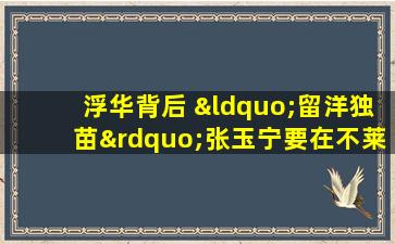 浮华背后 “留洋独苗”张玉宁要在不莱梅卧薪尝胆